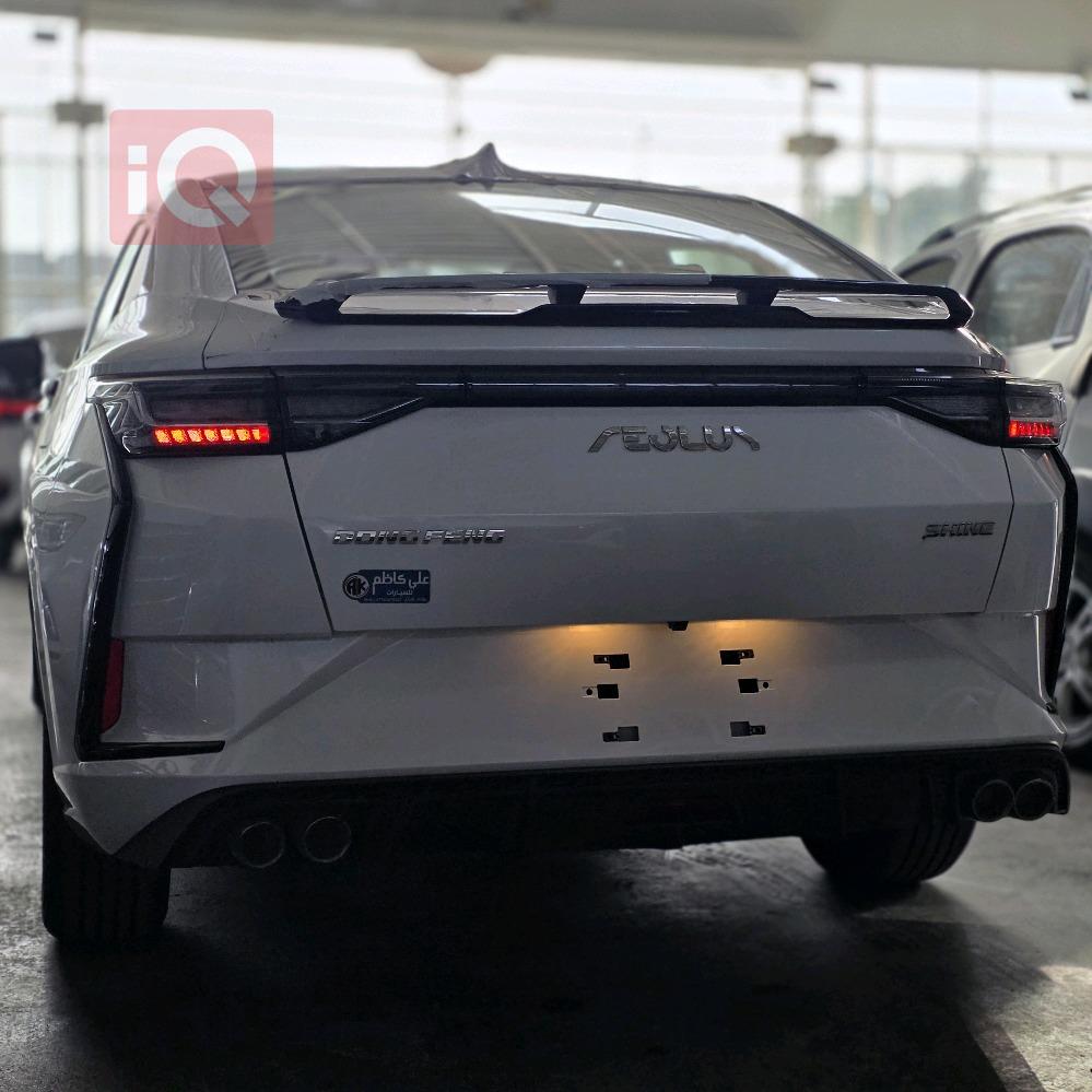 دۆنگ فینگ شاین